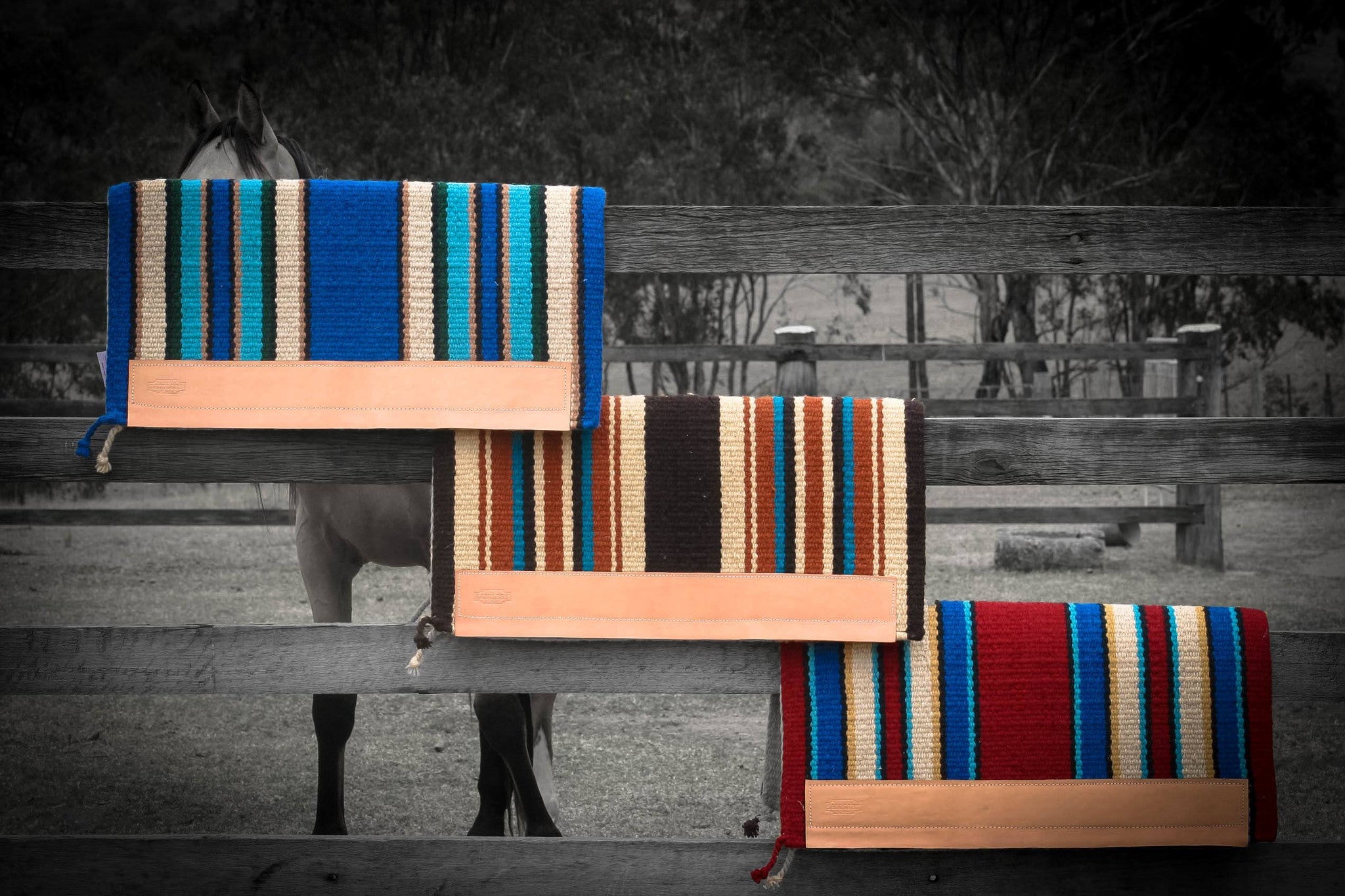 Premium Wool Saddle Pads - WTC