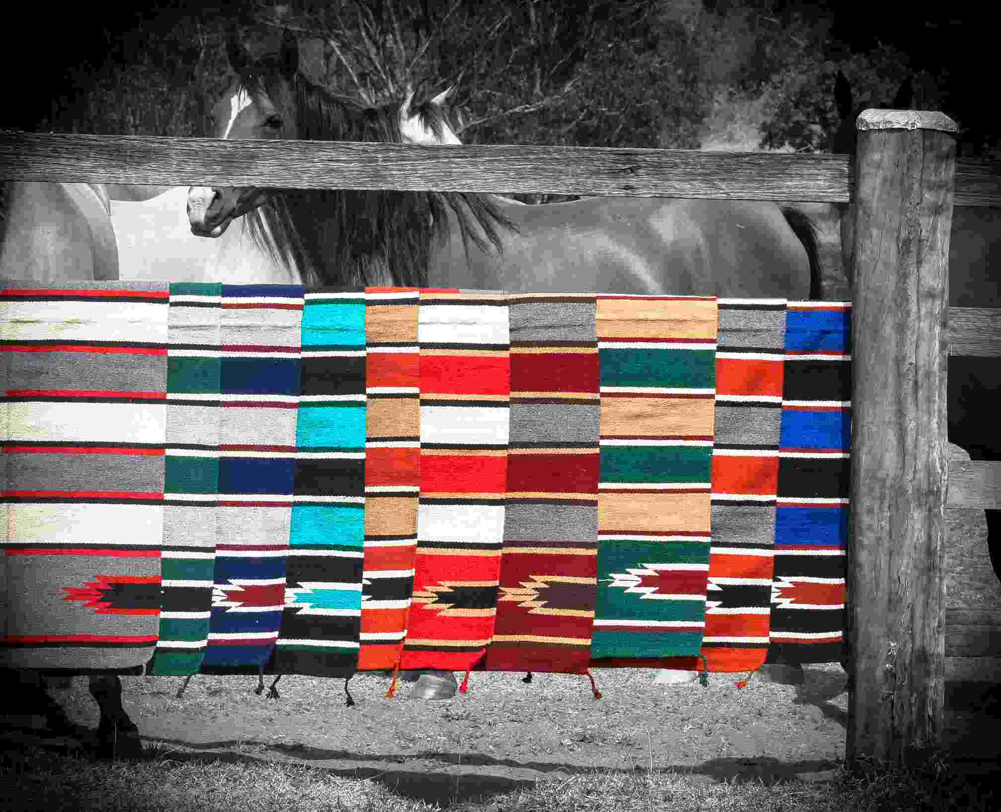 Economical Saddle Blankets Image