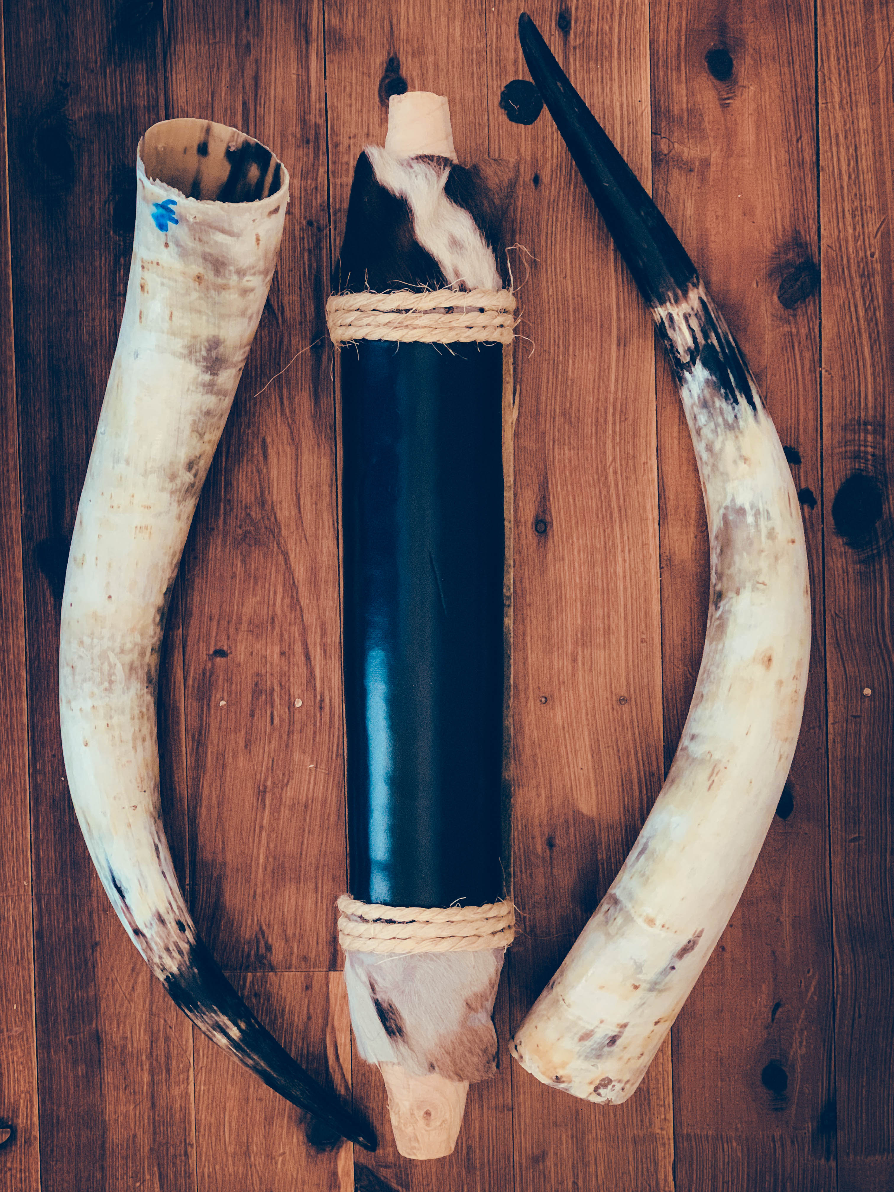 Mounted Longhorns (2)