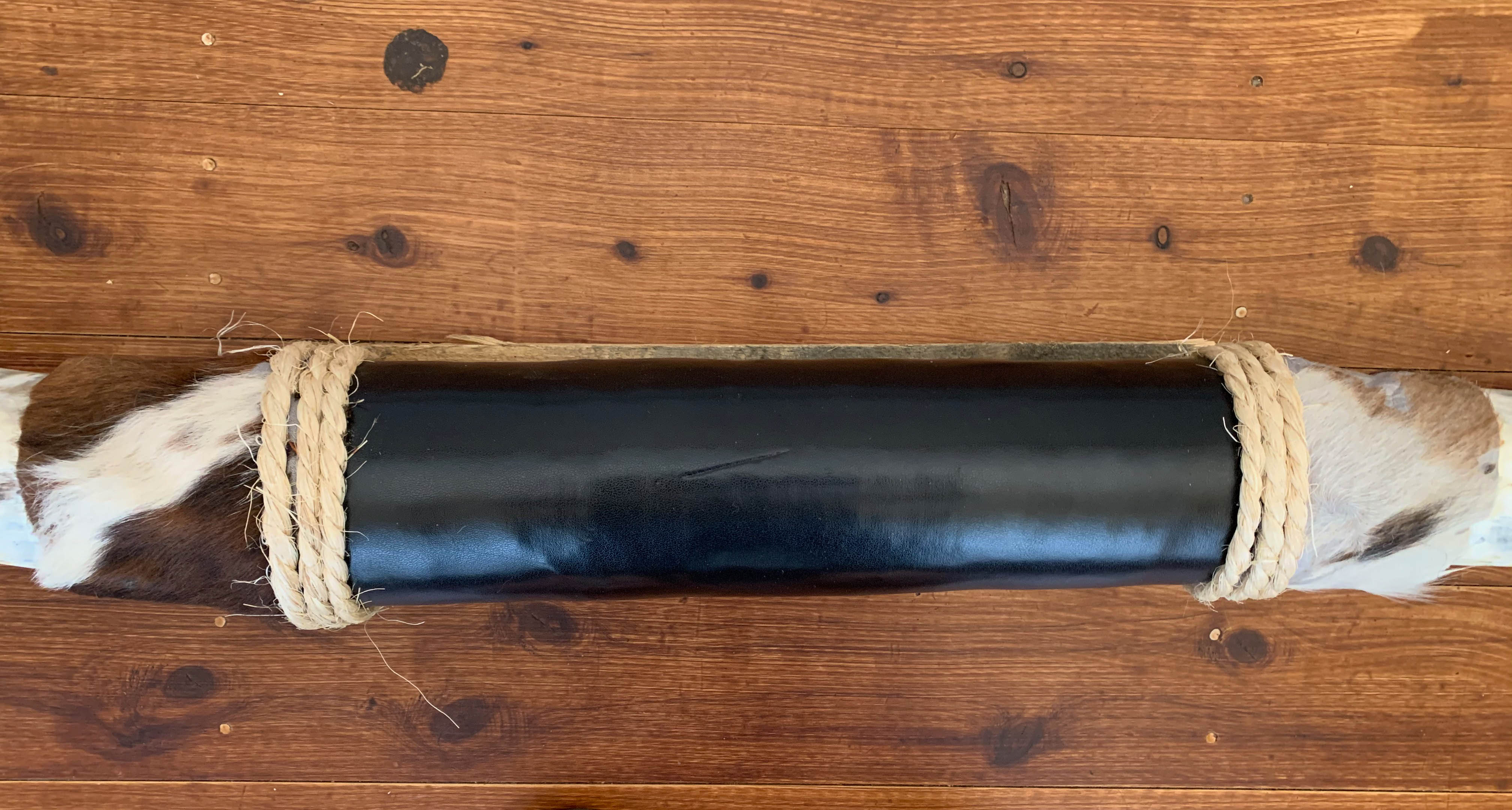 Mounted Longhorns (2)