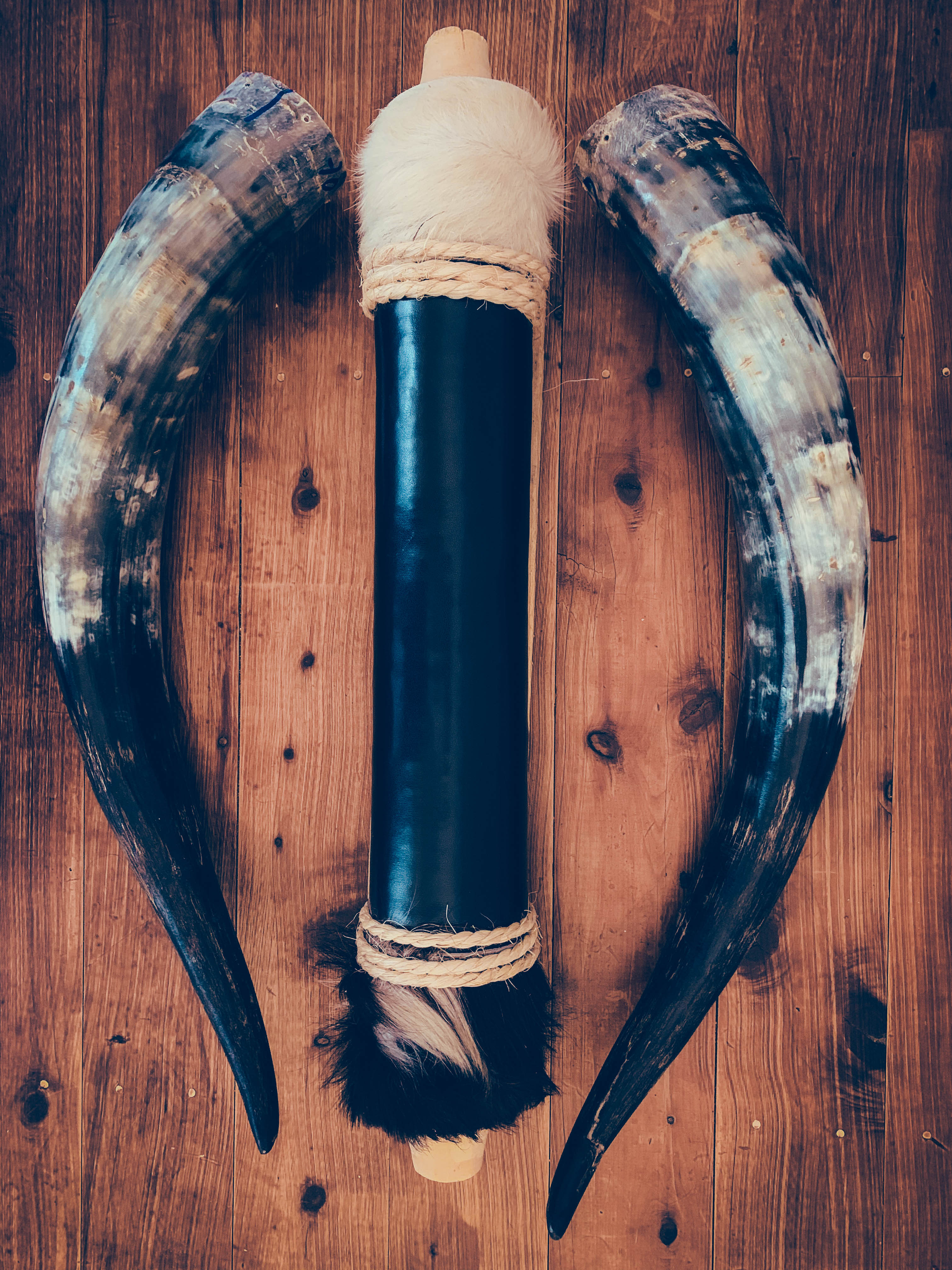 Mounted Longhorns (3)