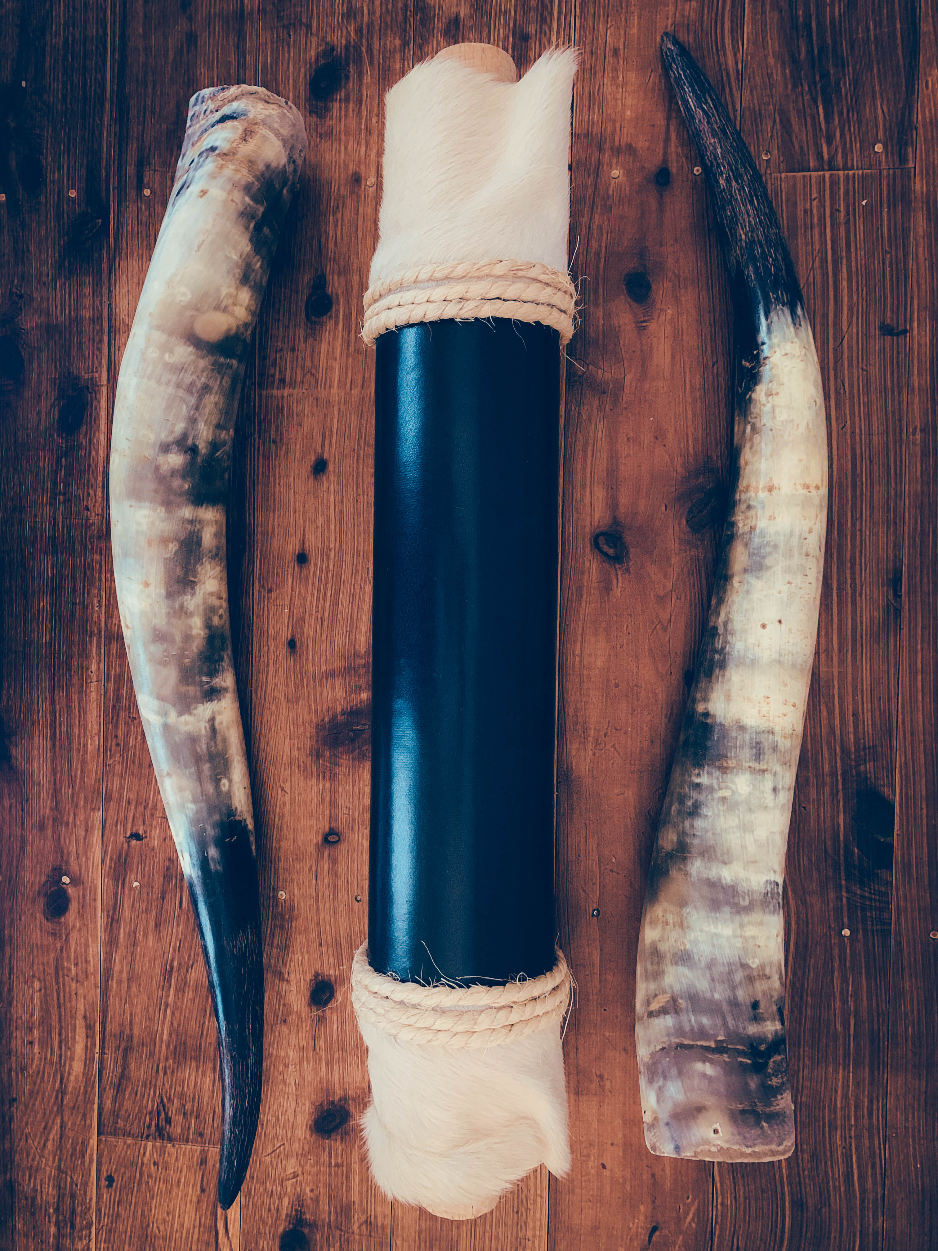 Mounted Longhorns (4)