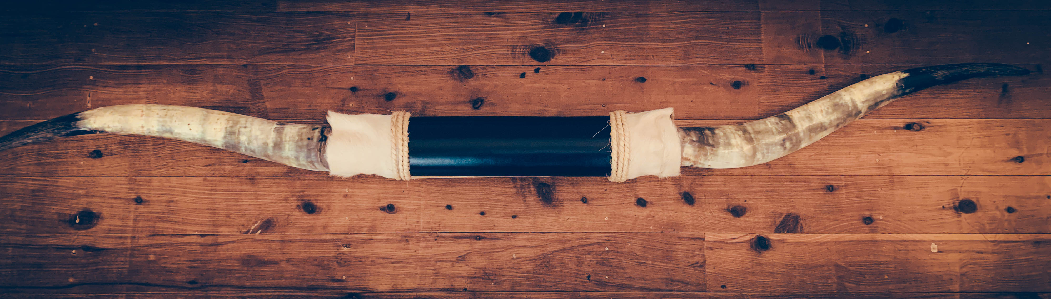 Mounted Longhorns (4)