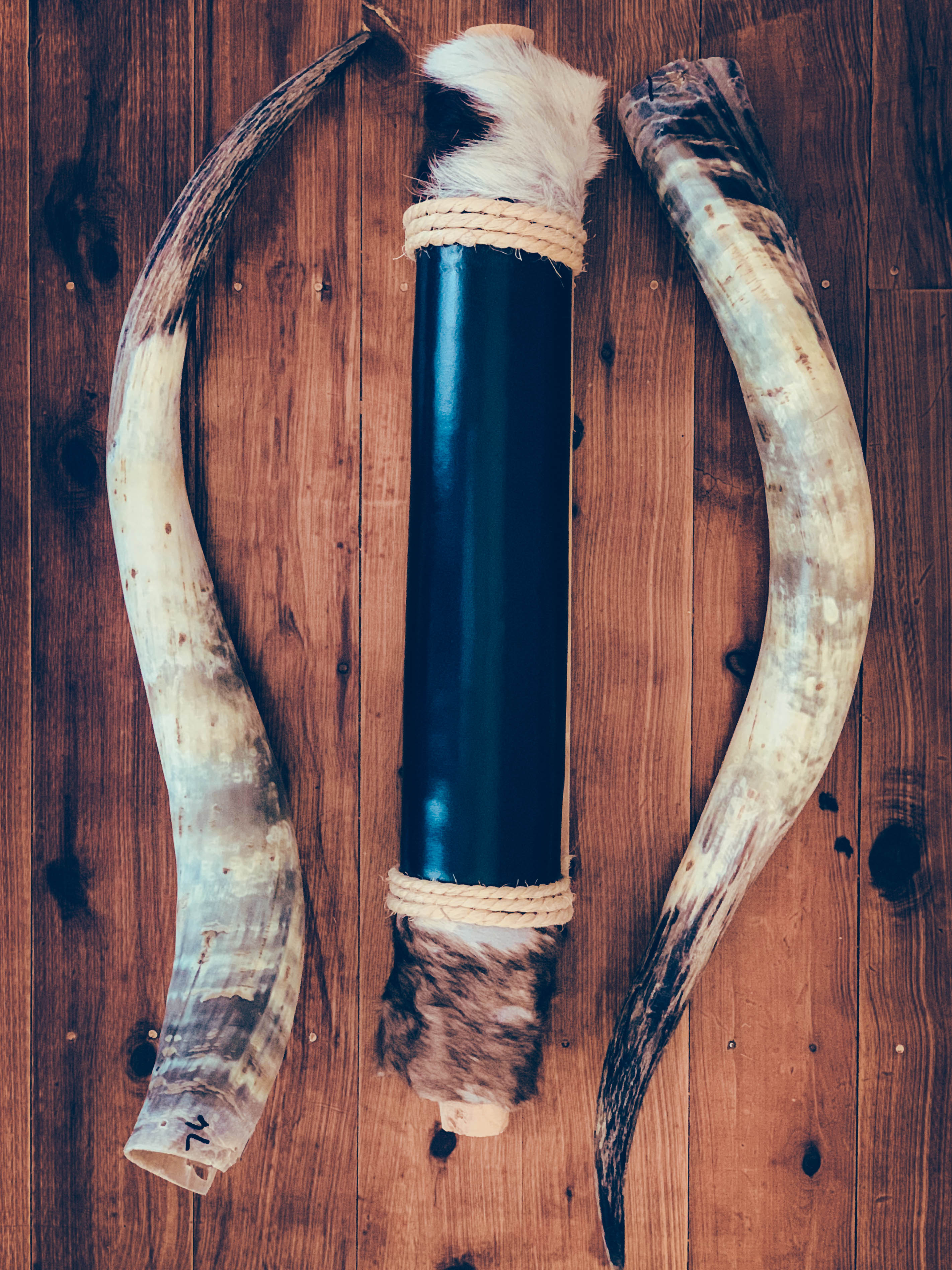 Mounted Longhorns (5)