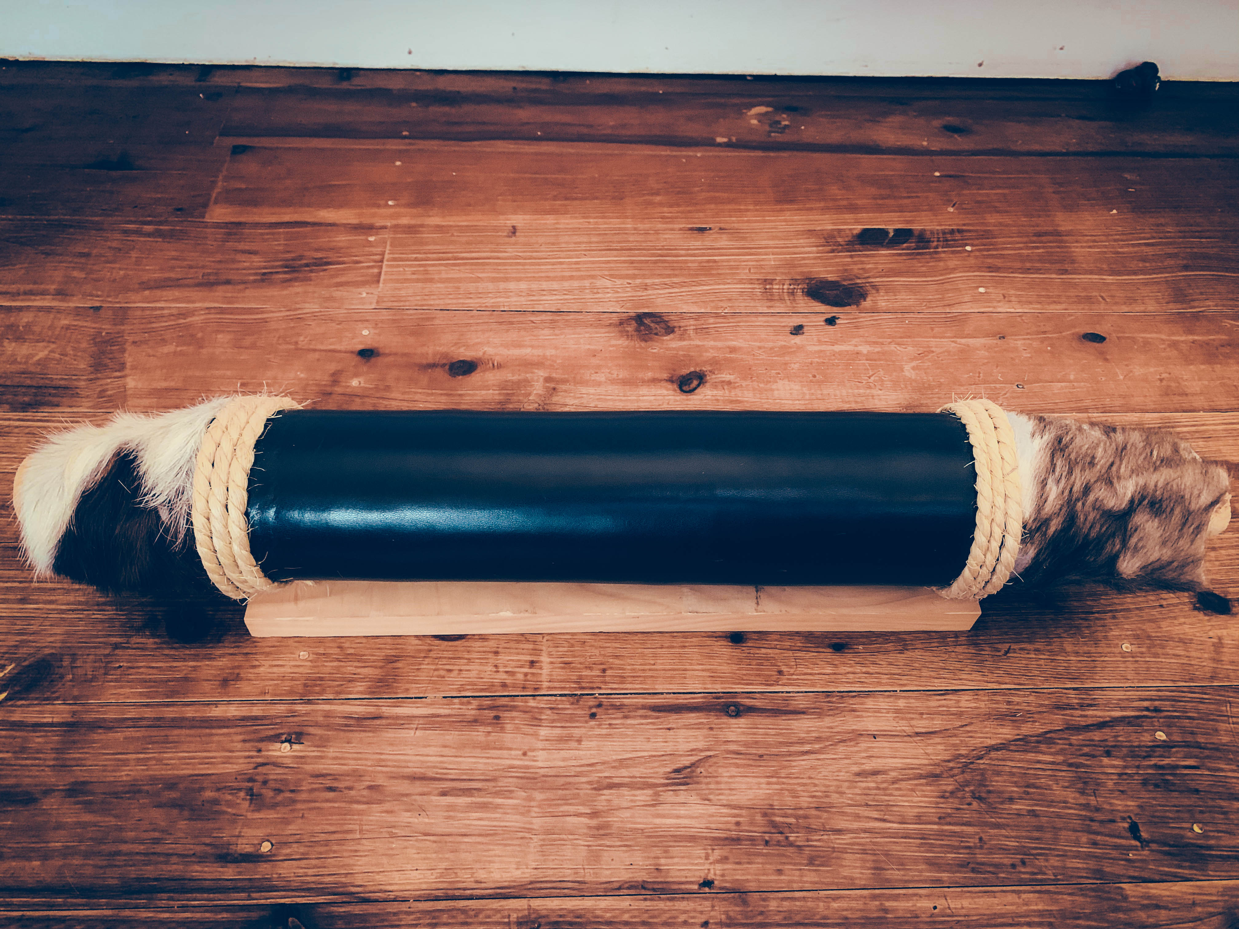 Mounted Longhorns (5)