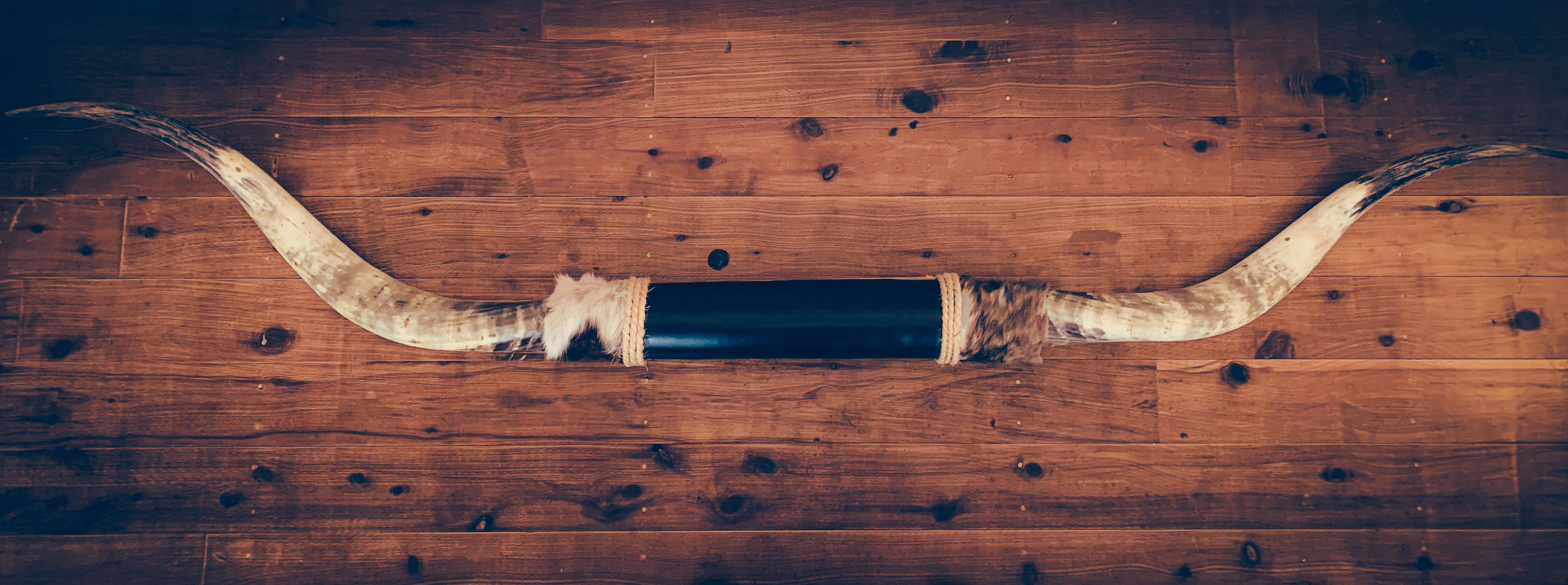 Mounted Longhorns (5)