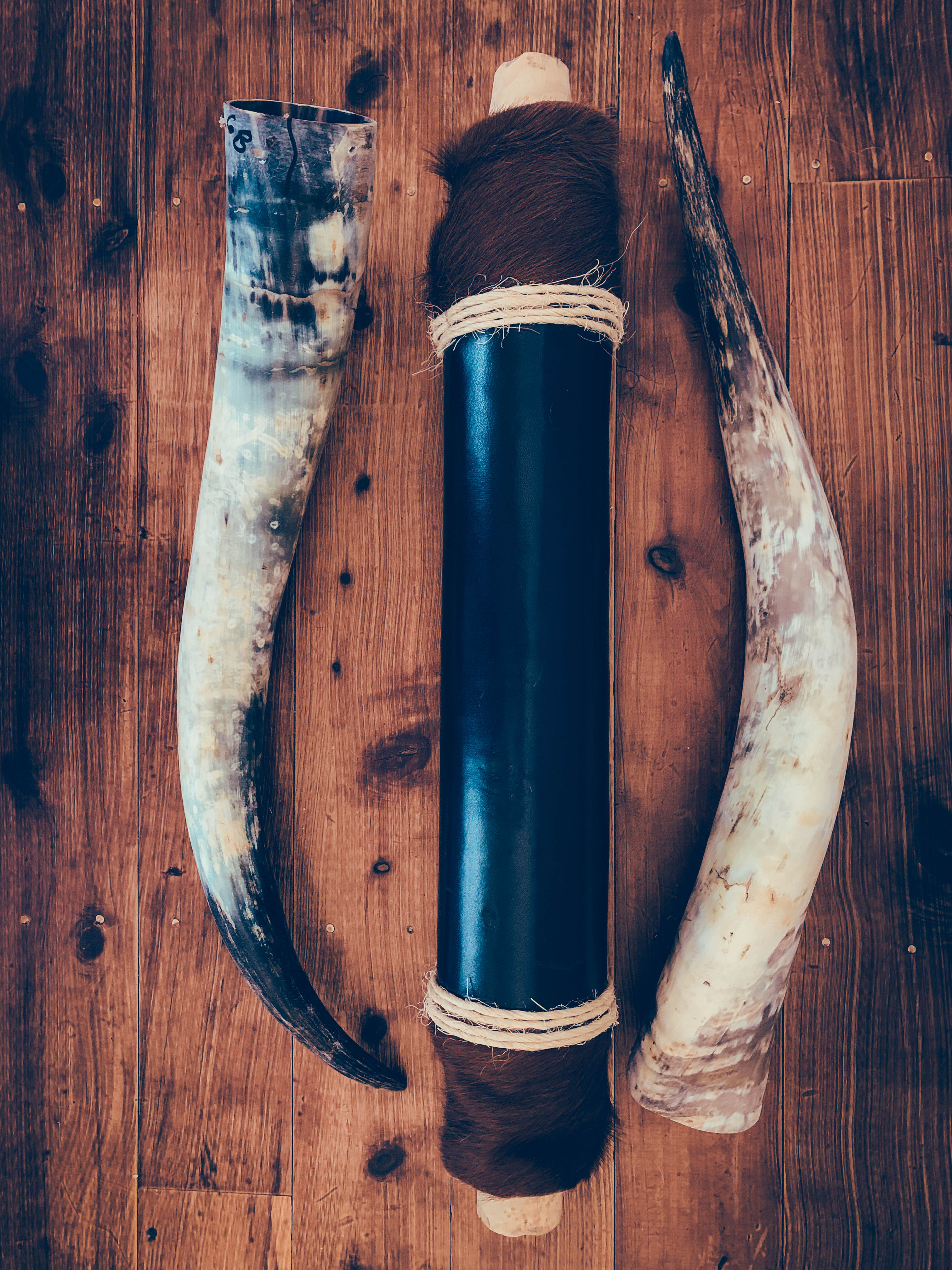 Mounted Longhorns (6)