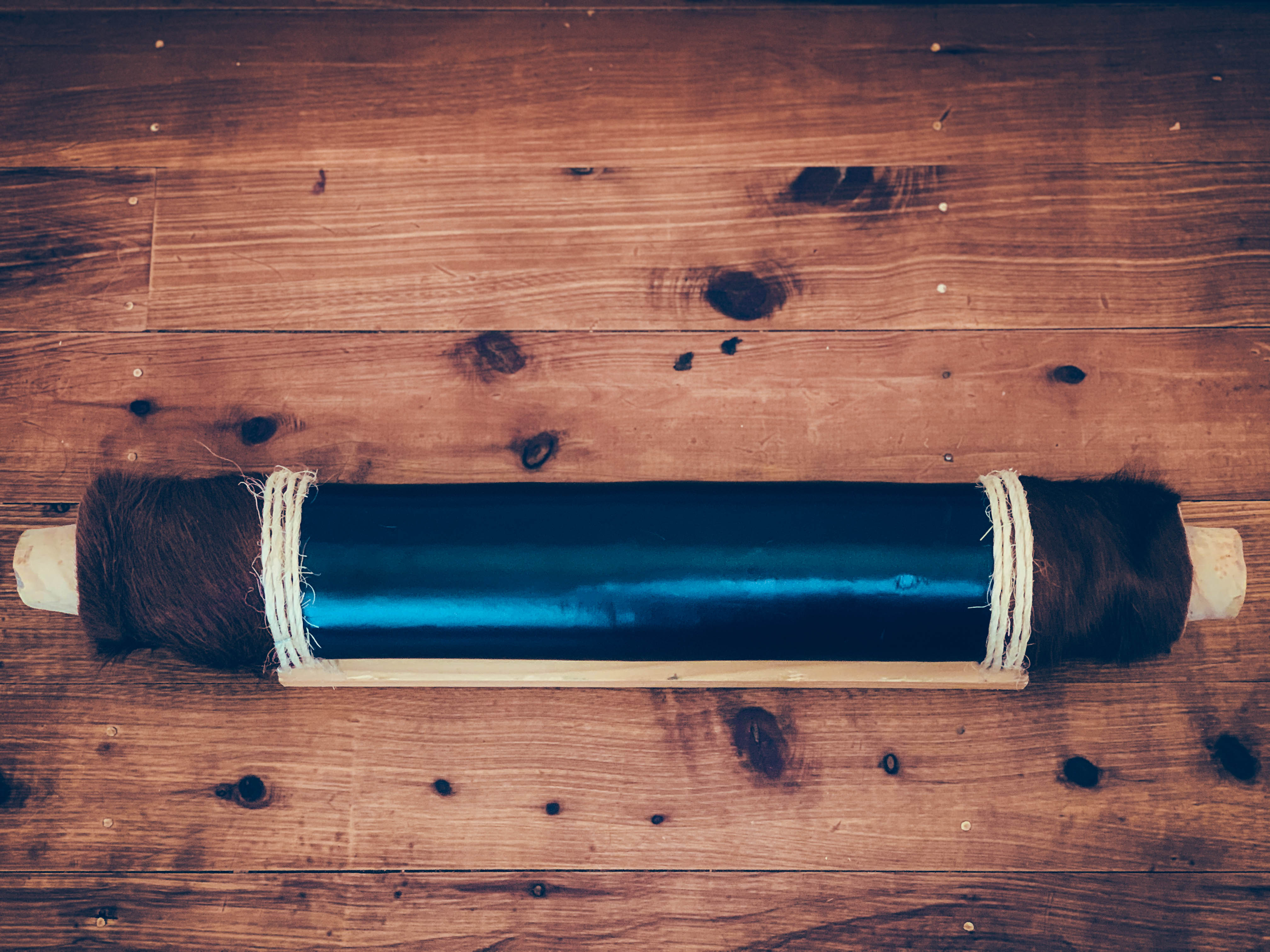 Mounted Longhorns (6)