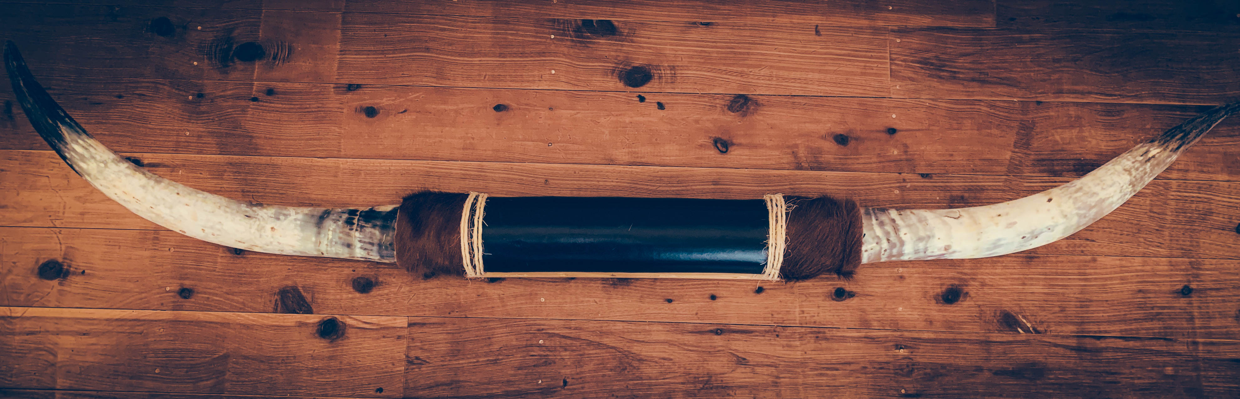 Mounted Longhorns (6)